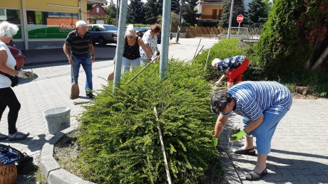 Szorgos kezek, ha munkálkodnak - Megszépült a Nyitra ABC környéke